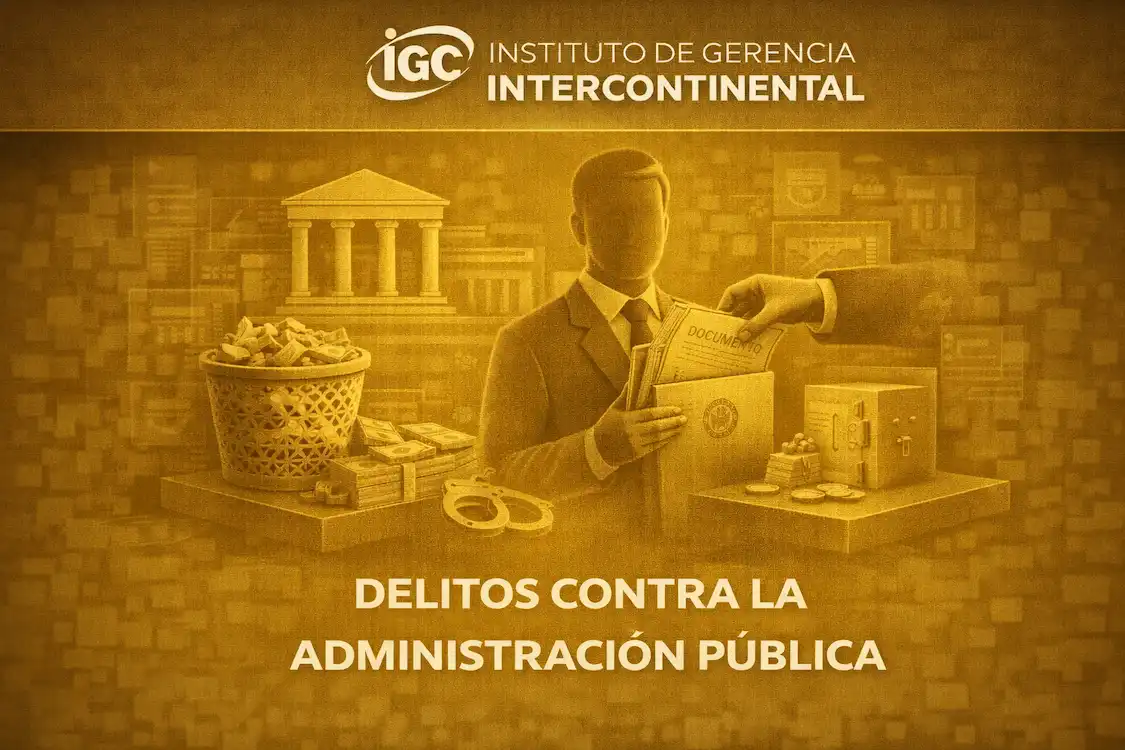 Imagen de Delitos contra la Administración Pública